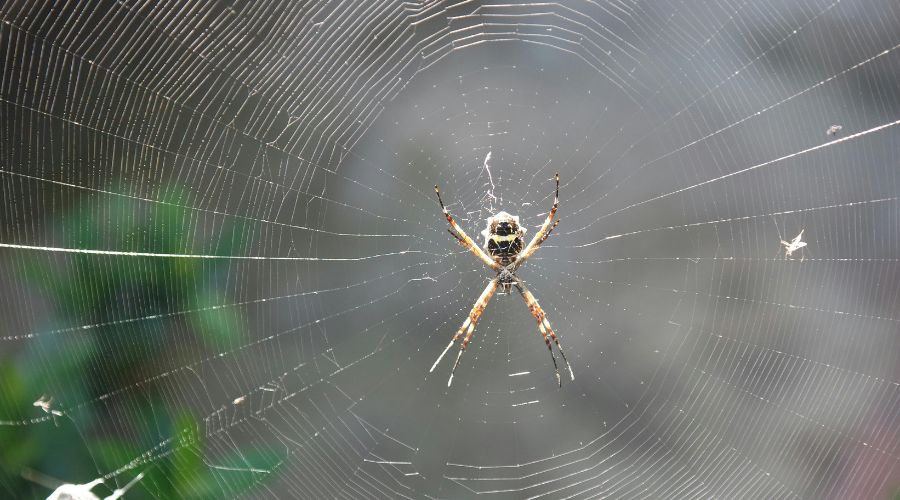 Cara Melindungi Website Dari Hack Dengan Mudah