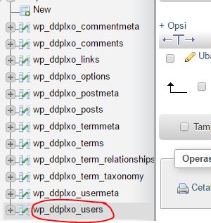 Tutorial Instalasi WordPress Di Cpanel Untuk Website Anda Disertai Gambar Tutorial Instalasi WordPress Di Cpanel Untuk Website Anda Disertai Gambar