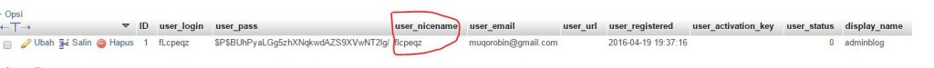 Tutorial Instalasi WordPress Di Cpanel Untuk Website Anda Disertai Gambar